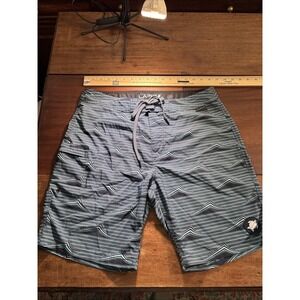 LAIRD men's 33 blue swim trunks. Waves And Turtle.  Unlined.